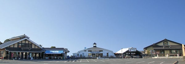 【JR津田沼・京成津田沼発】房総 道の駅でお買物&ブルーベリー狩りツアー<コースNo.26-1051-B>(京成トラベル)3